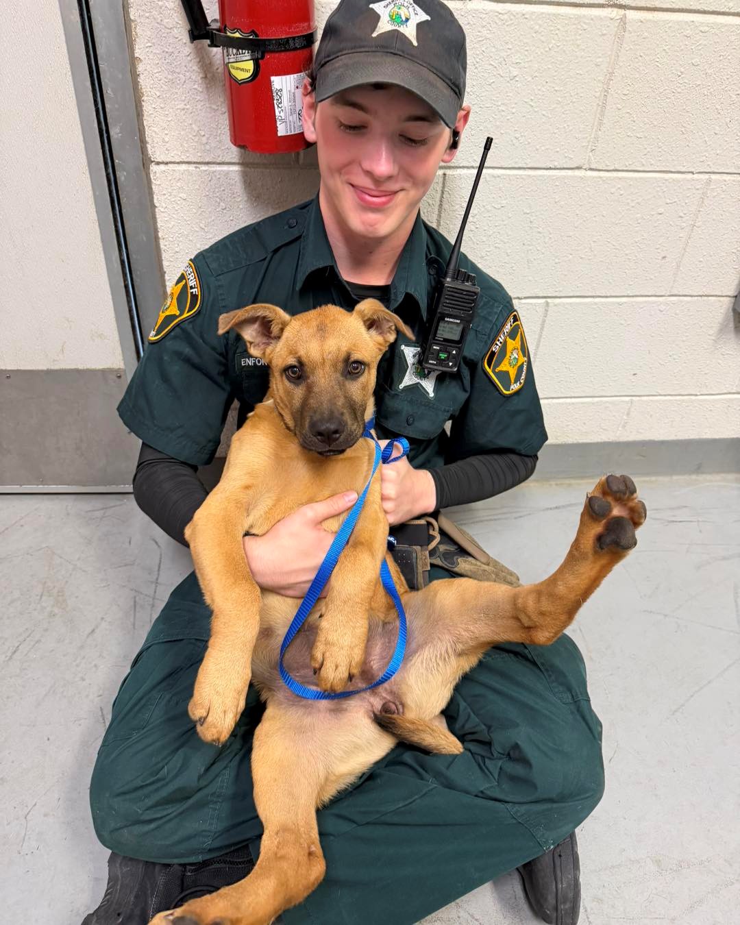 officer with a pup