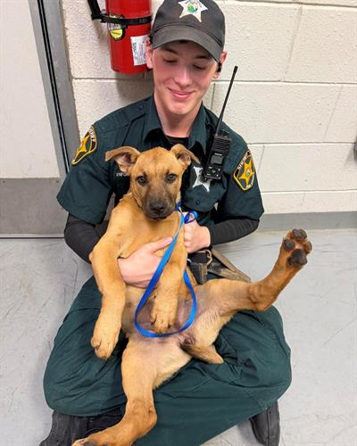 officer with a pup officer with a pup